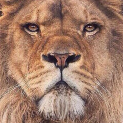 Русланбек Накаев, 12.08.1989, Москва