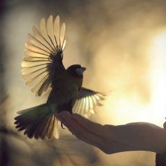 Евгения Чебан, 09.02.1989, Брянск