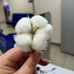 Kanykei Nuralieva, 18.10, Бишкек