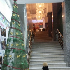 Белла Акавова, 27.07.1985, Каспийск