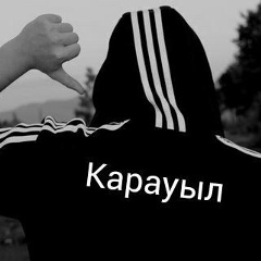 Гульдана Габдулина, Степногорск