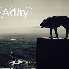 Нуртай Косай