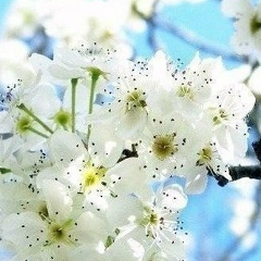 Дарья Исупова, 18.02.1981, Санкт-Петербург