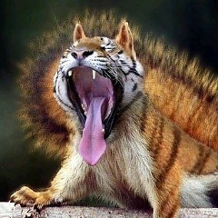 Ирина Арт, 23.05