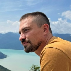 Антон Востриков, Hamilton