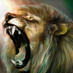 Женек Кайновских, 20.04, Казань