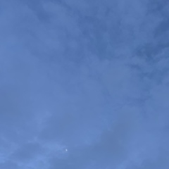 Айка Айка, 20.06.1990, Шымкент