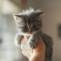 Арайлым Есбатырова, 30.06, Жезказган