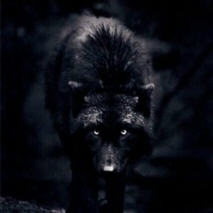 Мухьаммад Газдиев, 25.12, Ростов-на-Дону