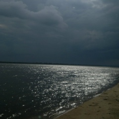 Alex Marss, 10.07.1981, Monterrey