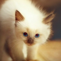 Марьяна Кавуля, 27.06, Киев