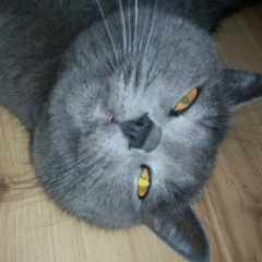 Жанна Гудкова, Новополоцк