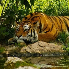 Сергей Соловьёв, 13.07.1988, Кентау