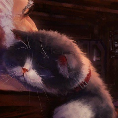 Игорь Коробков, 11.06, Санкт-Петербург