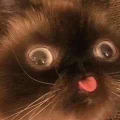 Максим Недушный, 24.11.2004, Винница