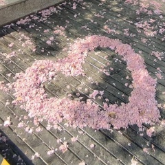 Максим Хоруженко, 27.04, Новокузнецк