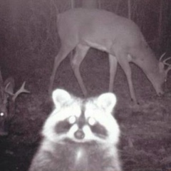 Артём Газимов, 21.09.1996, Набережные Челны