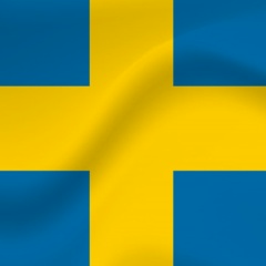 Сергей Бороденко, 01.01