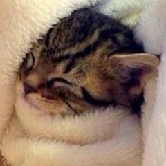 Юлия Дубина, 08.09