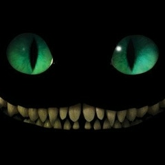 Тимур Магомедов, 16.04.1993, Гулькевичи