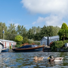 Zulyar Turganov, 21.05, Shanghai