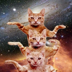 Дмитрий Корж, 19.08.1985, Киев