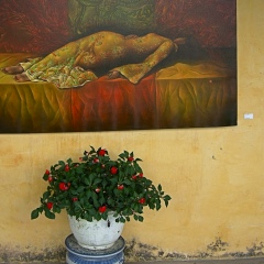 Юлия Яночкина, Дмитров