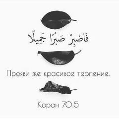 Джамиля Ахматова, 16.12