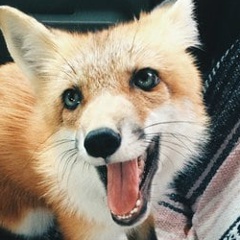 Ирина Киселева, 27.07