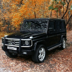 Дима Абдулаев, 21.03.1987, Ташкент