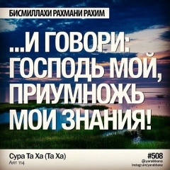 Айюб Саидрахмонов, Новосибирск