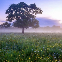 Алима Байсангурова, 09.11.1995, Москва