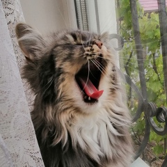 Ирина Рощина, 21.04, Киев