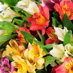 Мария Туренко, 14.10.1985, Нижний Новгород