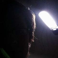 Сергей Алексеенко, Николаев