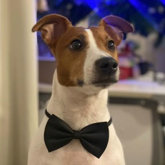 Максим Гегелев, 01.02, Москва