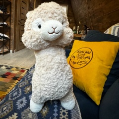 Светлана Юрьева, 28.01