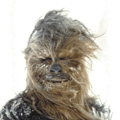 Дмитрий Власов