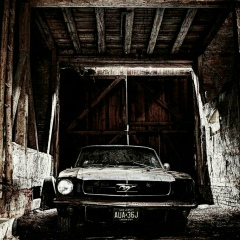 Юнус Шалинский, 06.08.1920