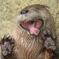 Сергей Ислентьев, 25.11.1988, Екатеринбург