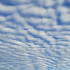 Николай Ермаков, 28.05.1985, Нижний Новгород