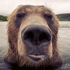 Артём Жиляков, 14.01
