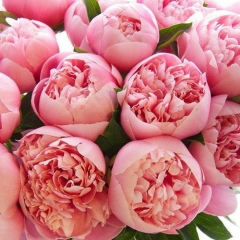 Zamira Arshidinova, 06.02, Алматы