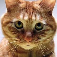 Иван Гордеев, 22.10