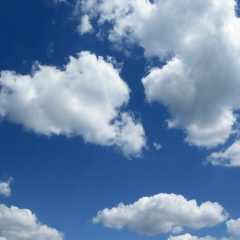 Индира Солтагариева, Грозный