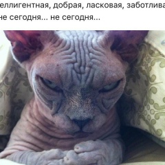 Диана Бек, 22.08.1992