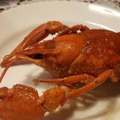 Иван Андреев, 02.12, Минск