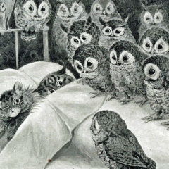 Елена Миронова, 20.08, Санкт-Петербург