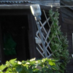 Александра Семцина, 05.09.1988, Москва