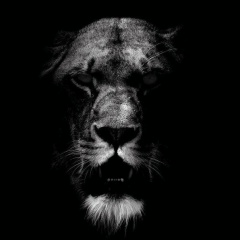 Иван Петров, 21.12.1992, Москва